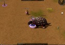 FaVoLa Dev Çöl Kaplumbağası kesimi [HD]