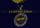 FENERBAHÇE Adamı Böyle Renkten Renge Sokar !