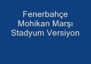 Fenerbahçe Mohikan Marşı Stadyum Versiyon