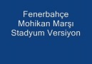 Fenerbahçe Mohikan Marşı Stadyum Versiyon