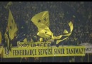 Fenerbahçe Tribünleri  Dale Cavese