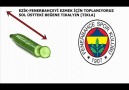 Fenevden nefret edenler video izlerken sol üsteki Beğen Tıkla