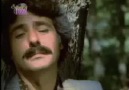 Ferdi Tayfur - Olsan İçmez Miydin