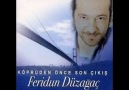 Feridun Düzağaç - Çığ