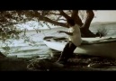 Fettah Can - Sana Affetmek Yakışır [Video Klip] [HD]