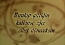 Fikrimin İnce Gülü