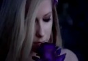 Forbidden Rose by Avril Lavigne COMMERCIAL !!