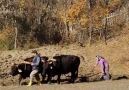 ''FOTOĞRAFIN, RENK VE IŞIĞA DOYDUĞU ŞEHİR'' KASTAMONU [HQ]