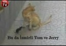 Gerçek Tom ve Jery [HQ]