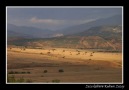 Gidiyuno-Şarık Apo [HQ]