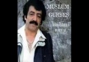 Gitmeseydi Onun Kulu Olurdum (Şiirli Versiyonu)