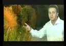 Güçlü Soydemir - Turnalar