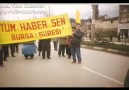 habersen slayt
