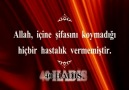 *40*   *H*A*D*İ*S*