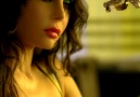 Haifa wehbe - Yabn el halal [HD]