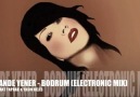 Hande Yener - Bodrum(Electro Mix)