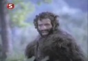 Hanzo - Ayı