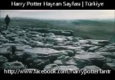 Harry Potter ve Ölüm Yadigarları - 5. Kısım