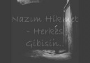 HERKES GİBİSİN - NAZIM HİKMET
