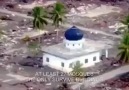 Her Yeri Yıkan Tsunami Bir Tek Camileri Yıkmadı