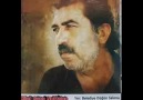 hocamızın yeni albümü ( HEVALAM-N )