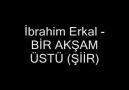 İbrahim Erkal Bir Akşam Üstü Şiir  (DAMAR)