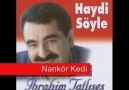 İbrahim TATLISES - Nankör kedi..