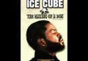 Ice Cube - $100 Dollar Bill Y'all