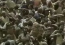 idda ediyorum..böyle balık avı görmediniz:O:O:O