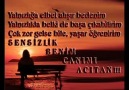 ilayda --  ilk gördüğüm anda sana aşık oldum