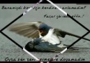 intizar - yağmurlar canımı alsın ... [HQ]