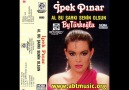 İpek Pınar - Al Bu Şarkı Senin Olsun 1988 [HQ]