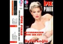 İpek Pınar - Hasret Rüzgarı 1990 [HQ]