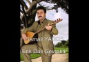 İsmail YAĞIZ -  ''Erik Dalı Gevrektir'' [HQ]