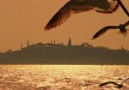 İstanbul Kanatlarımın Altında •♥• Aşk •♥• Gülay [HQ]