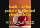 izmirli taylan gariplerin dünyasi by winec [HQ]