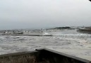 Japonya Tsunami Felaketi Amatör Çekim