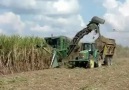 JOHN DEERE 3510 SUGARCANE HARVESTER