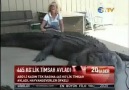 Kadın tek başına 465 kg'lik timsah avladı ! [HQ]