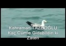 Kahraman TAZEOĞLU ''Kaç Cümle Gidebildin ki Zaten''