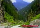 Kale Köyü - Çamlihemşin