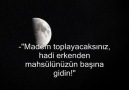Kalem Suresi - ( Ebubekir Şatıri ) [HQ]