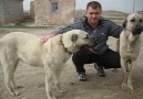 Kangal ve MAlgal farkı Kangal köylerinin hali [HQ]