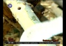 Kavakçılar - Poplar Peeling [HD]