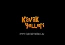 Kavak Yelleri 167.Bölüm Fragmanı