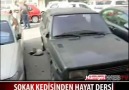 Kediden Hayat Dersi :(