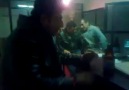 kemanci ferdi kurtulam gitsin