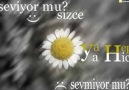Kıraç - Zerda - Taşduvarlar