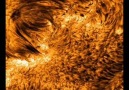 Lacrimas Profundere - Sear Me Pale Sun