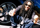 Lil Jon - Shake What Your Mama Gave Ya !